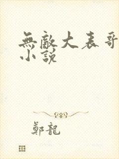 无敌大表哥萧天小说