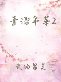 青涩年华2
