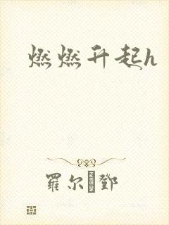 燃燃升起h