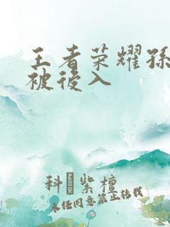 王者荣耀孙尚香被后入