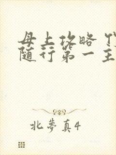 母上攻略 竹影随行第一主板