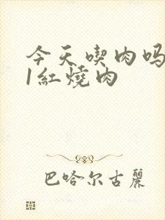 今天吃肉吗1V1红烧肉