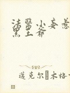 法医小妾惹上腹黑王爷