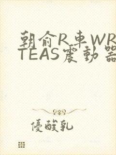 朝俞R车WRITEAS震动器