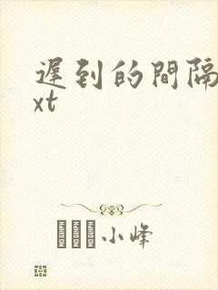 迟到的间隔年txt