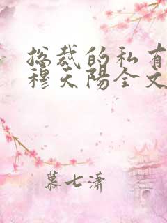 总裁的私有宝贝穆天阳全文阅读