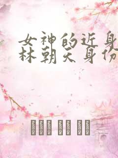 女神的近身护卫林朝天身份