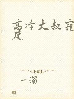 高冷大叔宠妻无度