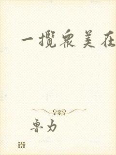 一揽众美在三国