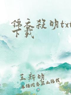 锦衣杀明txt下载