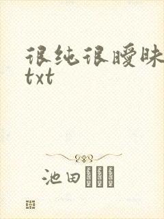 很纯很暧昧全集txt