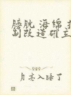 膀胱 海绵 控制改造确立m