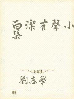 白洁有声小说全集