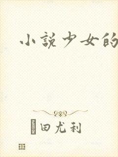 小说少女的心