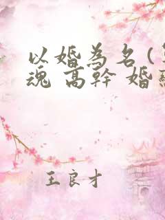 以婚为名 (军魂 高干 婚恋)