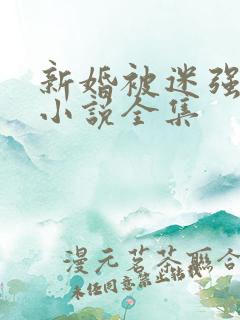新婚被迷强系列小说全集