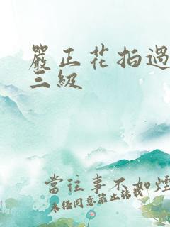 严正花拍过什么三级