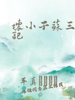 坏小子苏三风流记