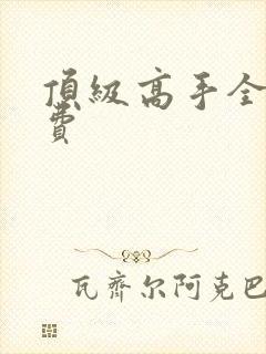 顶级高手全文免费