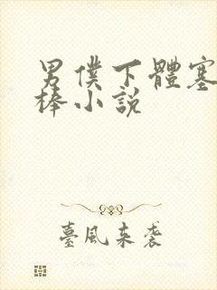 男仆下体塞震动棒小说