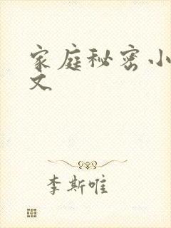 家庭秘密小说全文