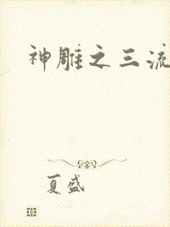 神雕之三流