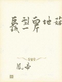 巨型白地菇多少钱一斤