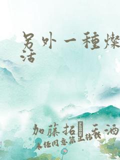 另外一种灿烂生活