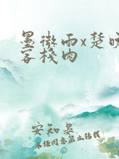 墨微雨x楚晚宁客栈肉