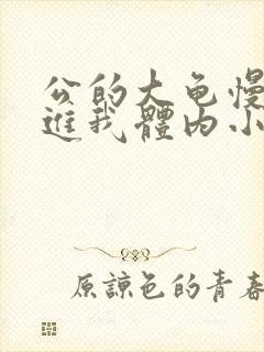 公的大龟慢慢挺进我体内小说