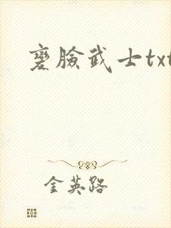 变脸武士txt