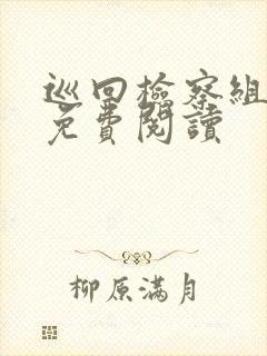 巡回检察组小说免费阅读