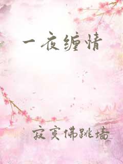 一夜缠情