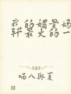 我的媚骨妈妈林轩最火的一句