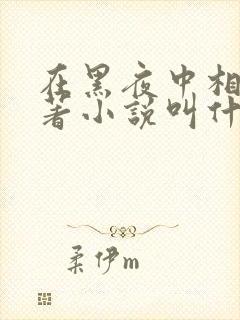 在黑夜中相拥原著小说叫什么