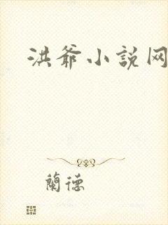 洪爷小说网