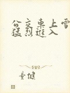 公交车上雪柔被猛烈进入