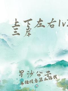 上下左右1v2三岸