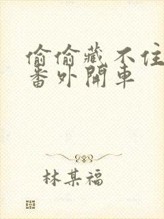 偷偷藏不住婚后番外开车