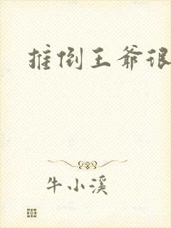 推倒王爷很重要