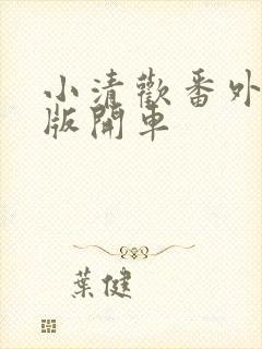 小清欢番外完整版开车