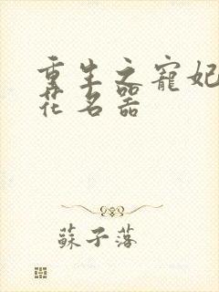 重生之宠妃白莲花名器