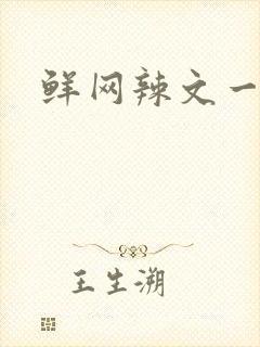 鲜网辣文一对一