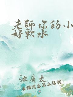老师你的小兔子好软水