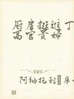 厨房挺进丁字裤高官贵妇