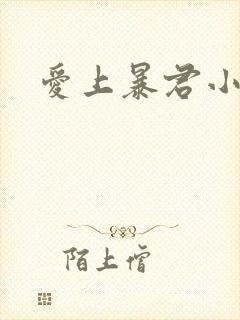 爱上暴君小甜心