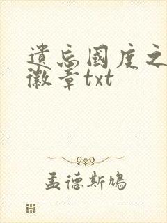 遗忘国度之神秘徽章txt