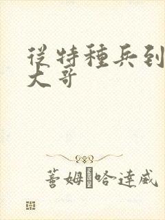 从特种兵到黑道大哥