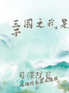 三国之我是皇太子