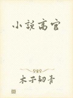 小说高官